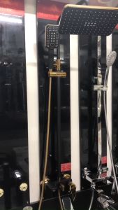 Sen cây nóng lạnh đen ánh vàng GS 6607D