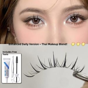 FAICCIA | Thai Style Sunflower Effect Natural Looking False Eyelashes