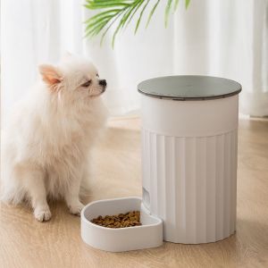 máy ăn tự động cho mèo