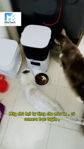 Máy cho mèo ăn tự động có Camera 5 Lít App Tuya quốc tế