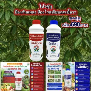 ปุ๋ยน้ำป้องกันแมลงอิคคิววัน ปุ๋ยน้ำป้องกันโรคพืช และเชื้อรา อิคคิวทู
