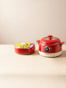 Daewoo | Multi-cooking Scheduled Electric Pot