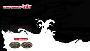 อาหารปลาคาร์ฟโตไซ Tosai เม็ด 4 มม. (Size L) ขนาด 1.5 กก จำนวน 1 ถุง.