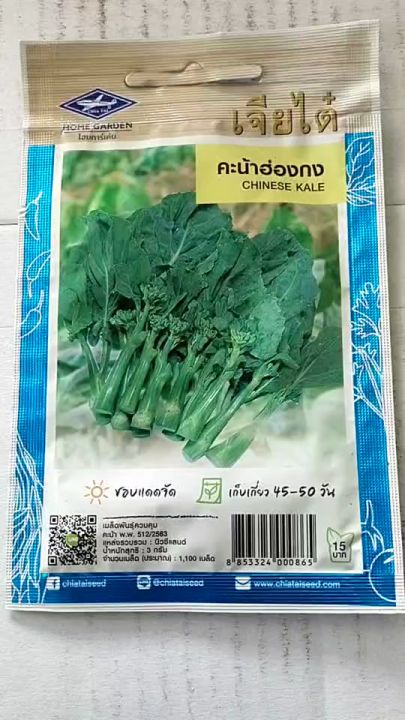 เจียไต๋ คะน้าฮ่องกง 1,100 เมล็ด ลำต้นอวบ รสชาติหวานกรอบ