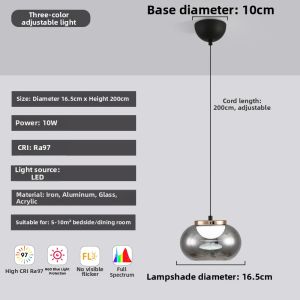 Aiskdan | Minimalist Trendy Simple Adjustable Hanging Light Black