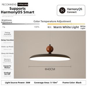 Modern Minimalist Pendant Light