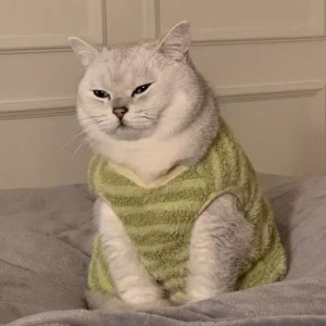 Petone dOrage | Warm Pet Vest Fleece Dog & Cat Clothing