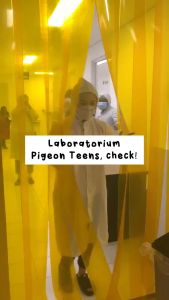 Pembersihan Wajah Remaja: Sabun Pembersih Wajah PIGEON TEENS FACIAL FOAM 40 ML