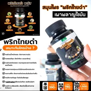 Sn9 พริกไทยดำ แคปซูล สมุนไพร ขับลม จุกเสียด ไขมัน ความดัน คอเลสเตอรอล เหงื่อ ปัสสาวะ เพิ่มน้ำนม 1 กระปุก 30 แคป