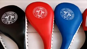 2Pcs Taekwondo Kick Pad High quality PU Kickboxing Karate Kick Pad Practice Kick Target Training Target