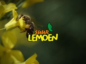 TERLARIS Madu Asli Premium 350-700 ml gram 1 kg| Madu Super - by aleska