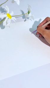 IMPLORA Day To Day Series Brow Pop