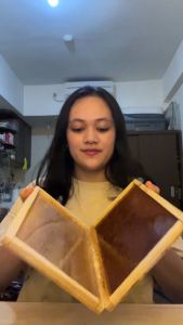 Perangkap Tikus Box & Papan Perangkap Tikus: Cara Efektif Mengendalikan Tikus