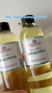 Eucalyptus All-in-One Water-Based Spray – Refreshes Naturally & Repels Mosquitoes Ticks & Flies