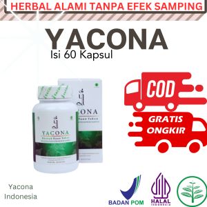 Yacona Herbal – Obat Diabetes Menurunkan Gula Darah Dan Memperbaik Sel Beta Pankreas