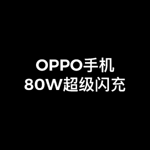 Longhe OPPO 80W fast charging intelligent temperature control charger(super VOOC 2.0)