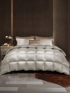 Boyang Home Textile | Thick All-Season Down Quilt