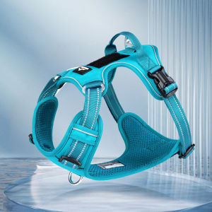 FENGCAO | Backpack Style Dog Harness and Leash