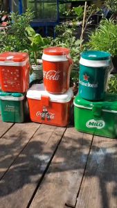 กระติกน้ำแข็ง 2 ลิตร (ช้าง คาร์เนชั่น) - เก็บเย็น 8-12 ชม น้ำเกลือ ขนาดพกพา ดีไซด์สวย ภาษีพรีเมียม