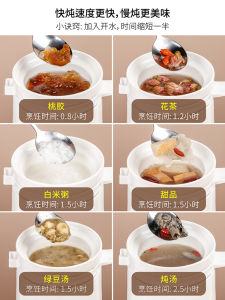 Portable Electric Slow Cooker Sunchance D2 for Babys First Foods Individual Porridge Cooking Multi-Function Ceramic Material