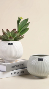 European Nordic Creative Ceramic Pot | Wabi-Sabi INS Style Orchid Pot Desktop Flower Planter