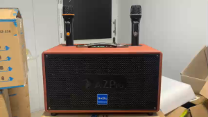 Loa Thông Minh Loa Bluetooth Di Động BNIB 116 Kèm 2 Micro UHF Cao Cấp Loa Công Suất Lớn Cổng Kết Nối Đa Dạng Tích Hợp Vang Số Chỉnh Cơ Có Reverb Âm Thanh Tương Lai Loa Phân Tầng 2 Bass Đôi 16cm Chống Hú