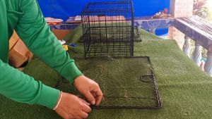 2 ชนิดน้ำหนักเบา ดักนก ต่อนก กระทู้กว้าง 47 ยาว 57 เซน ดักง่าย และ ดักนก ได้หลายชนิด โครงสร้างแข็งแรงที่ถูกเลือก ใช้งานได้ผลดี