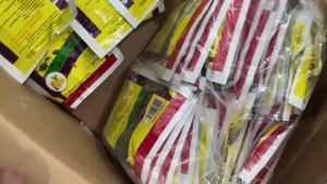 English Version Arabic    Household Insecticide Powder Insecticidal powder   Household