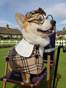 Retro British Style Pet Clothes Dog Coat Fashionable Shawl Photography Clothes Hat for Corgi Dog Spring Summer Autumn