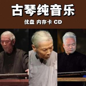 USB Flash Drive Âm Nhạc Thanh Tâm Giác Của Thanh Tuyền Trong Nhà Trà Vườn Âm Nhạc Ô Tô Chữa Thương Tích Lũy Thoáng Khí