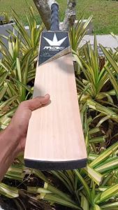 Mids Pro Black Edition English Willow Cricket Bat- SH