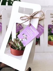 10 Bộ Túi Quà Tặng Hoa Mọng Nước Có Thẻ Trống Và Dây Quấn Giấy Kraft Dành Cho Quà Tặng Tiệc Tùng Phù Hợp Với Chậu 2.4 Inch