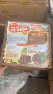 (Nguyên cục 1Kg - 5Kg) Mụn xơ dừa ép bánh SFARM làm giá thể trồng rau phối trộn đất trồng hoa kiểng các loại được ép bánh gọn nhẹ dễ bảo quản dễ vận chuyển và dễ sử dụng