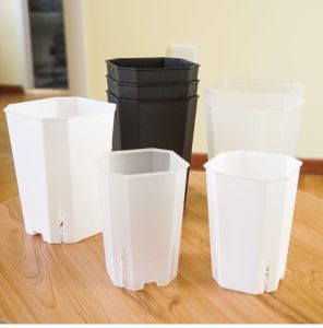 Diamond Basin High Waist Octagonal Plastic Flower Pot Transparent Basin Vientiane Basin Succulent Minimalist Small Square Basin Jade Dew Twelve Rolls Basin