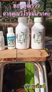 ชุดเน็กขนาด100cc 10 ขวด/อาหารเสริมพืชชนิดน้ำ/สินค้าเกษตร