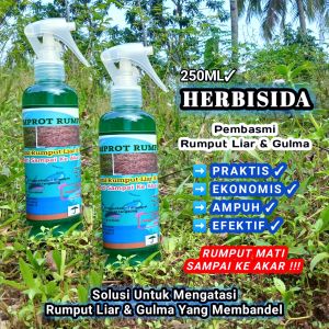 Cairan Pembasmi Rumput Liar & Gulma/Herbisida/Rumput Mati Sampai Akar/250ML