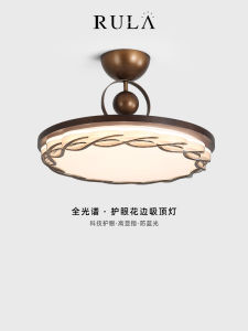 Chinese Style Bedroom Light American Retro Walnut Color Fancy New Chinese Style Simple Home Study Eye Protection Ceiling Lamp