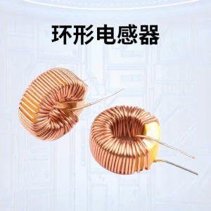 TOUGLESY | Ring Core Inductor 22uH
