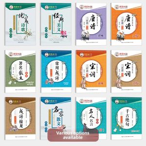 Besee | Idiom Linking Practice Regular Script Calligraphy Workbook