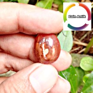 Batu akik motif Tunas kelapa