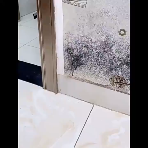 Wall Mold Remover Stain Remover Cleaning Spray Removes Mold from Toilet Walls Floors and Kitchen Tile Crevices 500ml