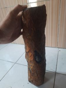 Bahan Bo sempur banten Koleksi A55 Keras sudah porslent