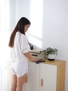 TELESCOPIC AND EXTENDED ELECTROSTATIC DUSTER
