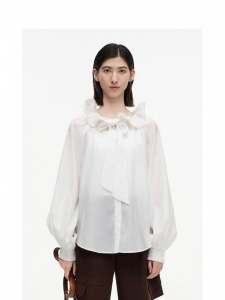 Lace Trim Ruffle Collar Blouse