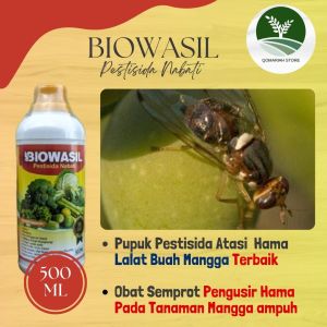 REKOMENDED Pestisida Lalat Buah Mangga Terbaik - Obat Semprot Untuk Membasmi Hama Lalat Mangga - BIOWASIL 500ML - Pupuk yang berguna untuk pengendali hama lalat buah mangga terbaik