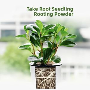 Strong Rooting Powder for Planting and Transplanting