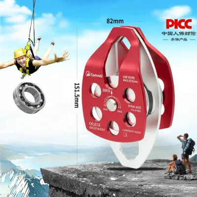 Camnal | Climbing Double Pulley Hoist Climber
