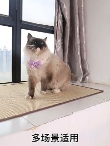 [XL] Cat Scratching Mat Cat Toy Cat Accessories Anti-Cat Scratch Sofa Protector Cat Tree Scratches 60*90CM