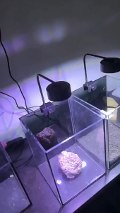 SG READY STOCK l  USB 3 MODE OF CHANGING LIGHT 8W LED 90 Degree Bend Fish Tank Clip Lamp 8W Energy Saving LED Aquarium