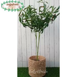 Pohon Imitasi Zaitun Tangkai X4 Cover Eceng Gondok Dekorasi Caffe